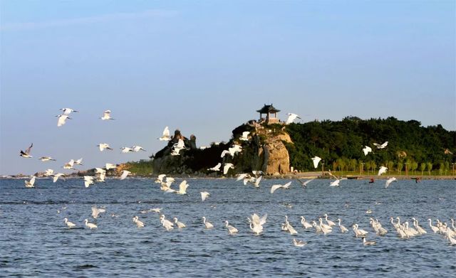 乾港慰問(wèn)一線干警 乾港慰問(wèn)一線干警